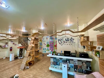 Cat Story Hotel – Foto 3