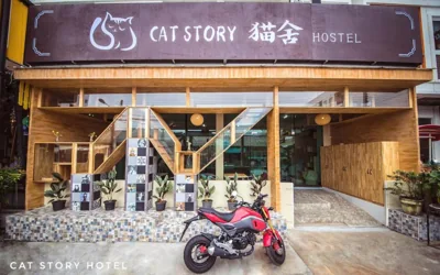 Cat Story Hotel – Foto 14