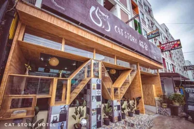 Cat Story Hotel – Foto 15